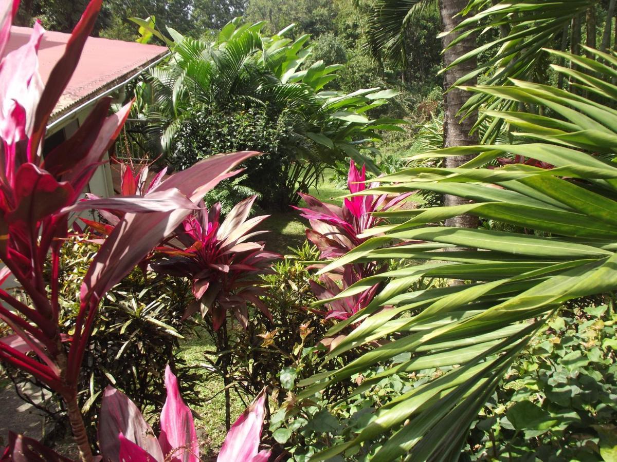 Les Jardins De L'Esperance Villa Bouillante Exterior photo